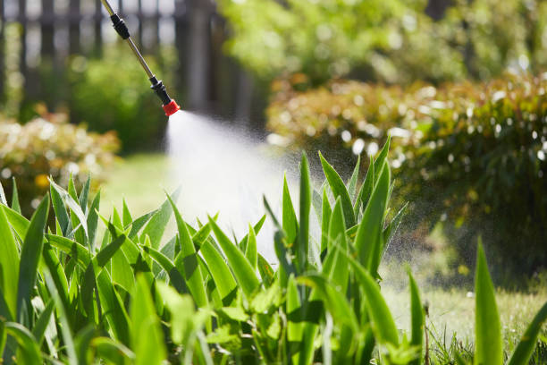 24/7 Emergency Wasp Removal experts in Earlington, KY