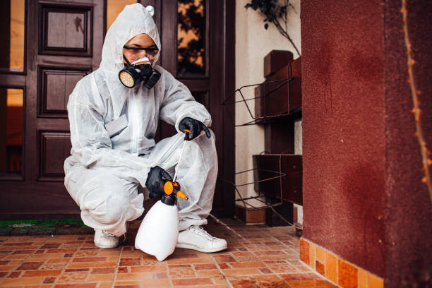 Reliable Wasp Removal contractor in Earlington, KY by Show Me Pest Control